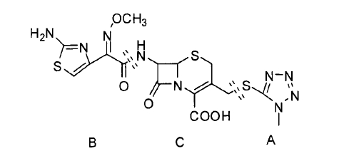 分子機(jī)構(gòu)式